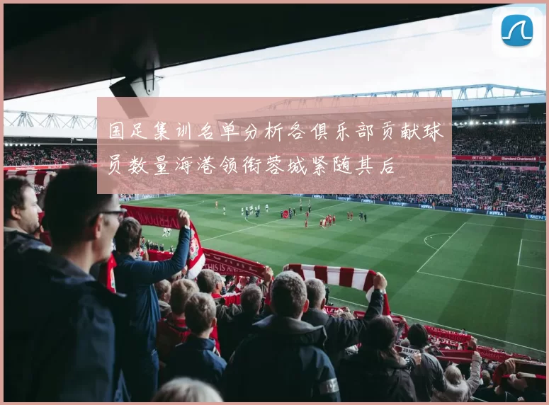 国足集训名单分析各俱乐部贡献球员数量海港领衔蓉城紧随其后