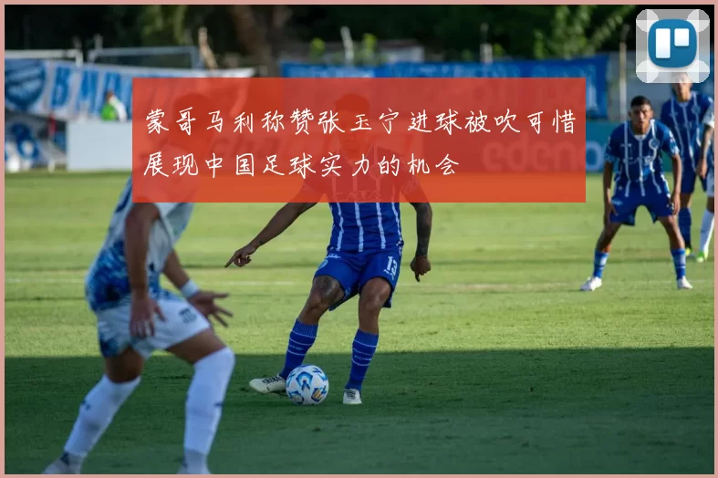 蒙哥马利称赞张玉宁进球被吹可惜展现中国足球实力的机会