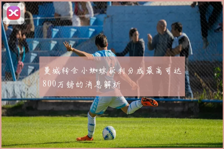 曼城转会小蜘蛛获利分成最高可达800万镑的消息解析